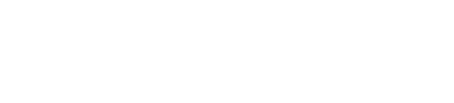 BizNest — All you want in one spot